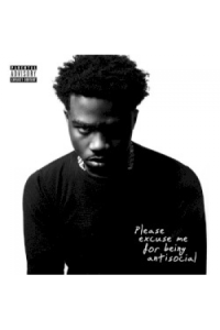 Please Excuse Me For Being...