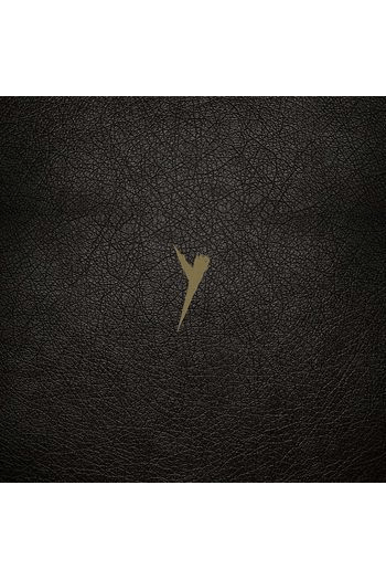Pop Group - Y Definitive LP Box - omot