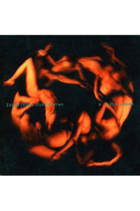 Everything Everything - A Fever Dream LP - omot