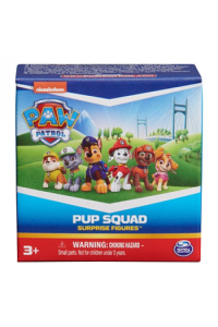 Paw Patrol - Pup Squad Surprise Figurice