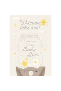 Čestitka new baby born 11,5*17