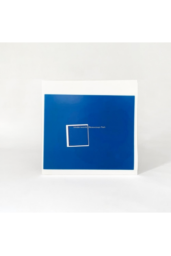 Underworld - Beaucoup Fish LP - omot