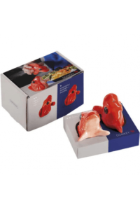 Fishes for Dishes 7 Salt and Pepper Shaker - red - slika proizvoda