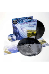 The Absence Of Presence