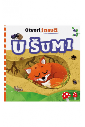 Otvori i nauči - U šumi (Slikovnica) - naslovnica