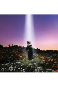 Let S Just Say The World Ended