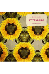 Calvin Harris feat. Tom Grennan - By Your Side - omot