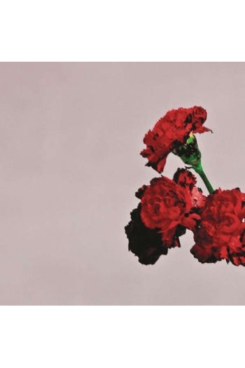 John Legend - Love In The Future CD - omot