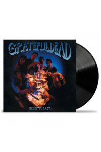 Grateful Dead - Bulit To Last LP - omot
