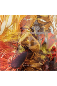 Mr Lee & Ivanesky - Magelli LP - omot