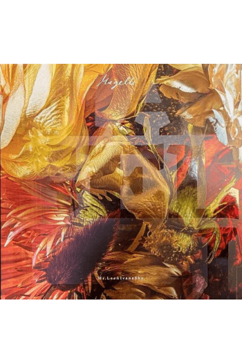 Mr Lee & Ivanesky - Magelli LP - omot