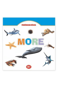 Predškolska učilica - More