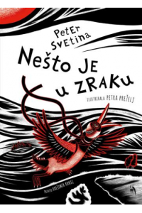 Nešto je u zraku (Slikovnica) - naslovnica