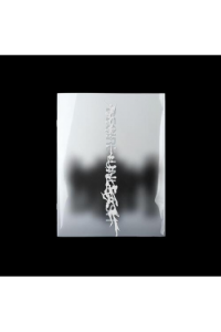 ENHYPEN - Desire : Unleash (Make Ver.) CD - omot