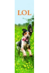LOL Bookmark - slika proizvoda