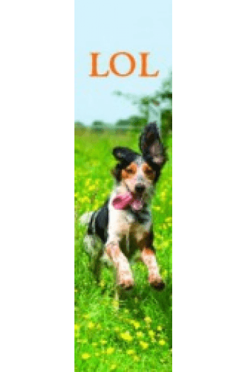 LOL Bookmark - slika proizvoda