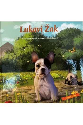 Lukavi Žak (Slikovnica) - naslovnica