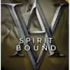 Spirit Bound (Vampire Academy #05) - naslovnica