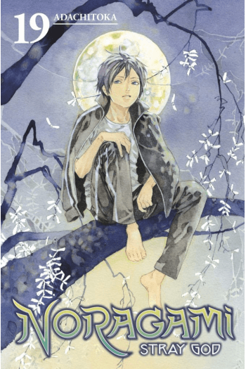 Noragami: Stray God, Vol. 19 (Manga) - naslovnica