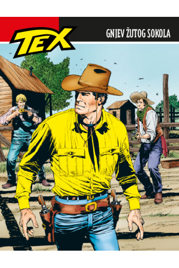 Tex Willer 153 - Gnjev žutog sokola (Strip) - naslovnica