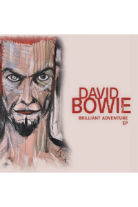 Brilliant Adventure 12Ep Rsd22