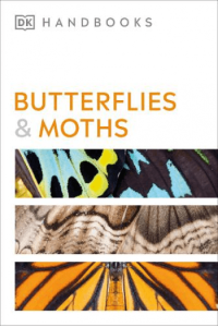 Butterflies And Moths - naslovnica