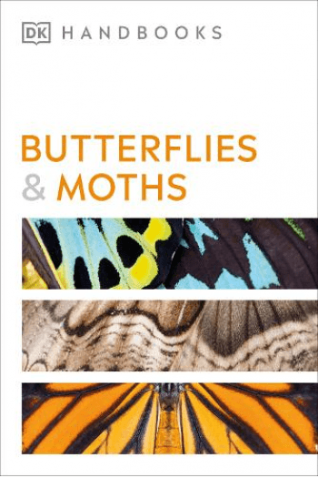 Butterflies And Moths - naslovnica