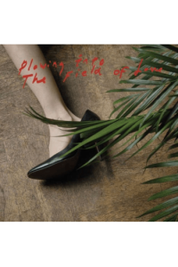 Plowing into the field of love