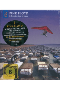 Pink Floyd - A Momentary Lapse Of Reason CD - omot