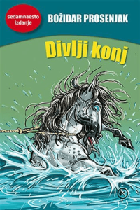 Divlji konj - naslovnica