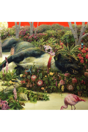 Rival Sons - Feral Roots CD - omot