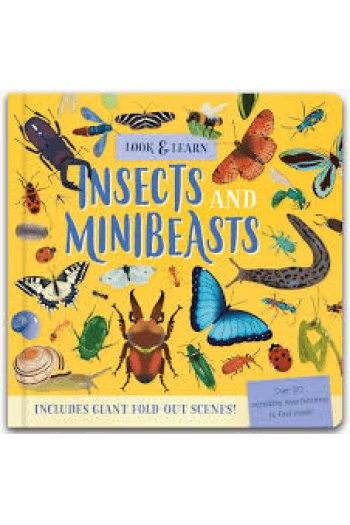 Look and find - Insects and Minibeasts (Slikovnica) - naslovnica
