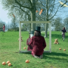 Syd Barrett - An Introduction To Syd Barrett LP - omot