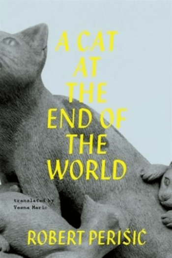 A Cat at the End of the World - naslovnica