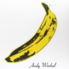 Nico - The Velvet Underground & Nico 45Th Anniversary LP - omot