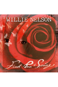 First Rose of Spring