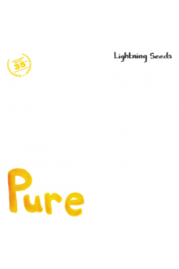 The Lightning Seeds - Pure, All I Want (35 Anniversary RSD 2024) LP - omot