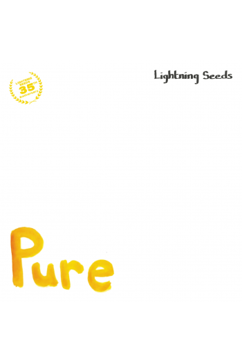 The Lightning Seeds - Pure, All I Want (35 Anniversary RSD 2024) LP - omot