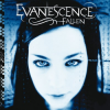 Evanescence - Fallen (Vinyl) LP - omot