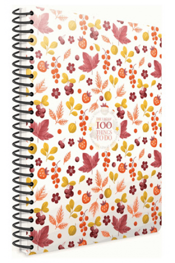 100 Things Spiralna Bilježnica 19X26 Kocke - slika proizvoda
