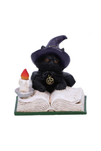 Nemesis Now FamiliarS Spell 8,5cm - slika proizvoda