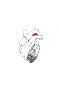 Swans - The Beggar LP - omot