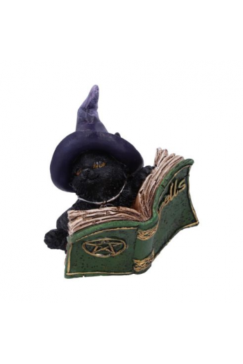Nemesis Now KittyS Grimoire (Green) 8,2cm - slika proizvoda