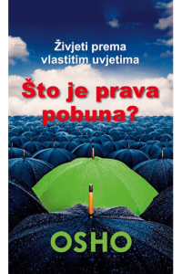 Što je stvarna pobuna? m.u. - naslovnica