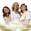 The frajle - Dnevnik duše LP - omot