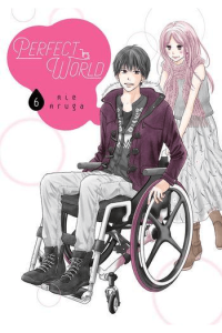 Perfect World, Vol. 06 - slika proizvoda