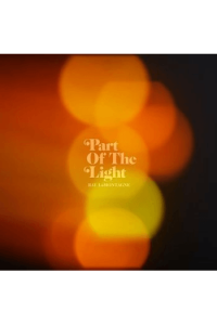 LaMontagne, Ray - Part Of The Light LP - omot
