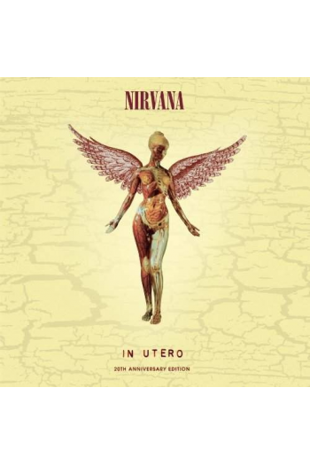 Nirvana - In Utero (20th Anniversary Remaster) CD - omot