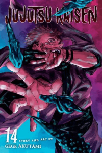 Jujutsu Kaisen, Vol. 14 manga izdanje