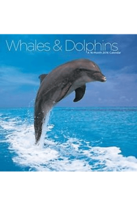 Various/ Galahad - Dolphins & Whales CD - omot